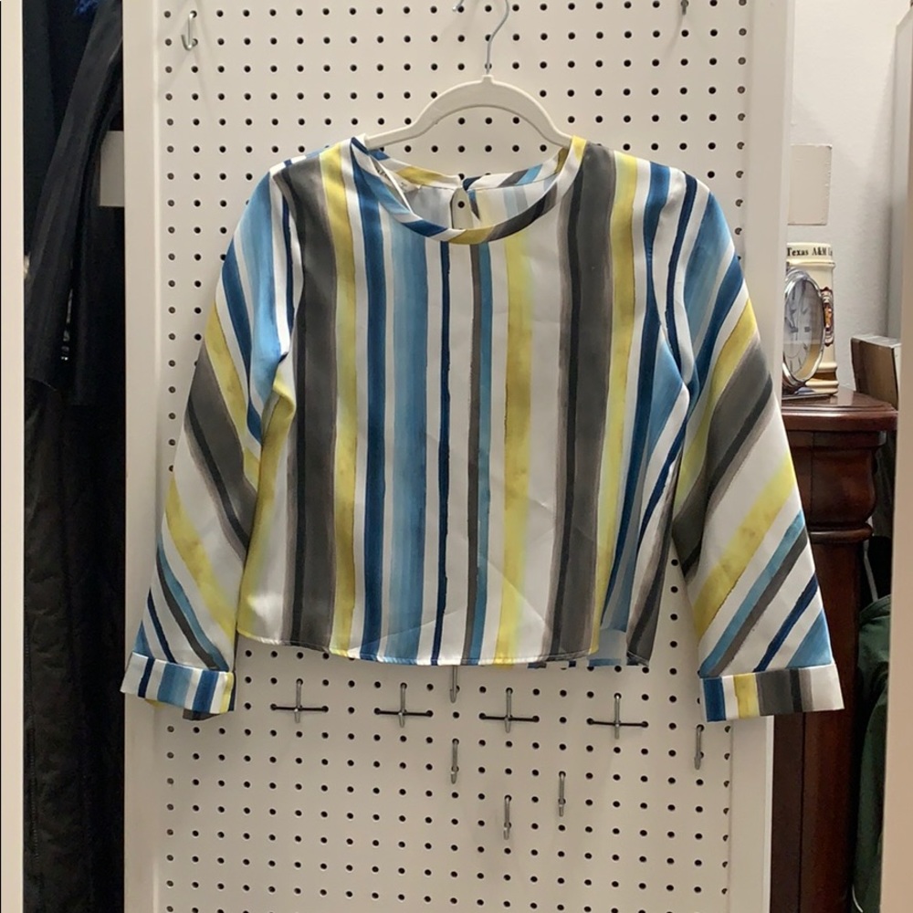 Zara Crop Long Sleeve Blouse